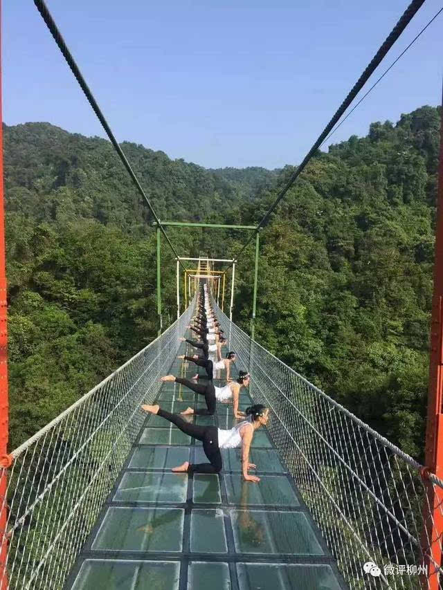 融水玻璃桥长199.9米,最深垂直高度52.0米.