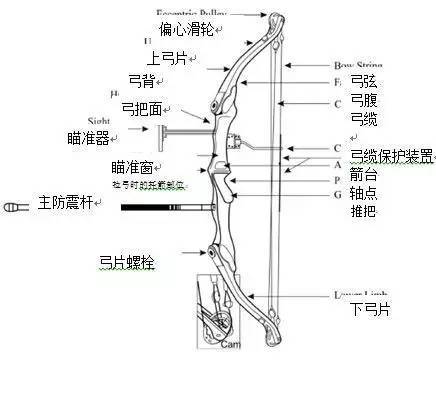 【乐活】射箭世界杯赛来啦!家门口可看射箭高手"百步穿杨"