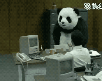 用了这么久的"熊猫踢"表情包 终于知道它的出处了哈哈