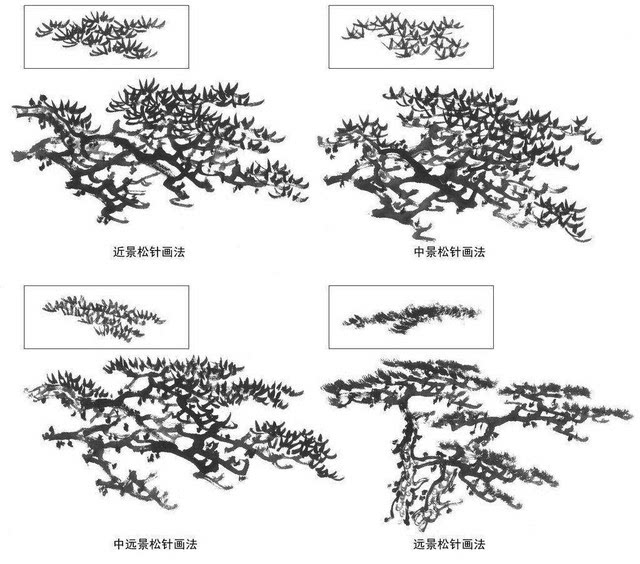 画画|挺拔卷劲的松树画法,一学就会!