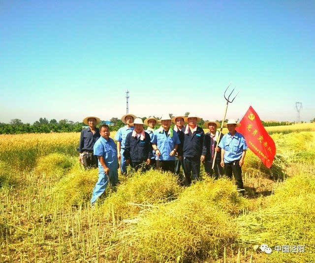 吴镇四罗沟村进行点对点,面对面的服务,帮助贫困群众屈满年收割油菜2