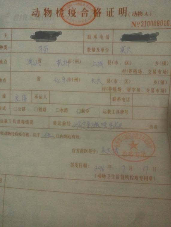 带着免疫证,(免疫证必须在有效时间内)去宠物医院开疾病筛查证明.