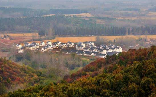 新村荣获2016年"安徽省乡村旅游示范村"称号.