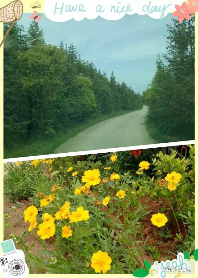 打开车窗,那一路的清新田园,林间小路,花香,草绿,鸟鸣~~~~来到视觉的