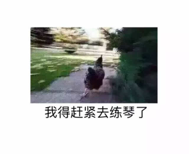 福利| 练琴表情包大赠送,无水印!(一)