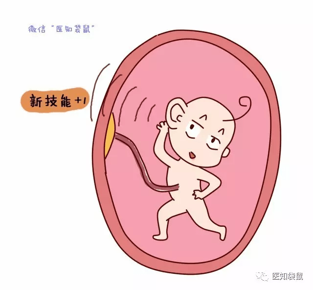 怀胎十月,胎儿在妈妈肚子里都做些啥?