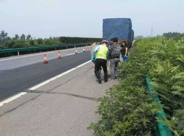 5月22日9时10分许,新乡籍驾驶员孟某在宁洛高速沈丘服务区报警称,其