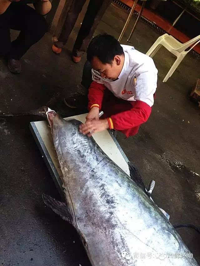 张新民吃话|"五月好鱼马鲛鲳",蓝点马鲛,斑点马鲛,康氏马鲛.