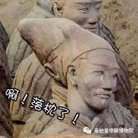 又一波兵马俑表情包来袭!这眼神里全是戏!-搞笑频道-手机搜狐