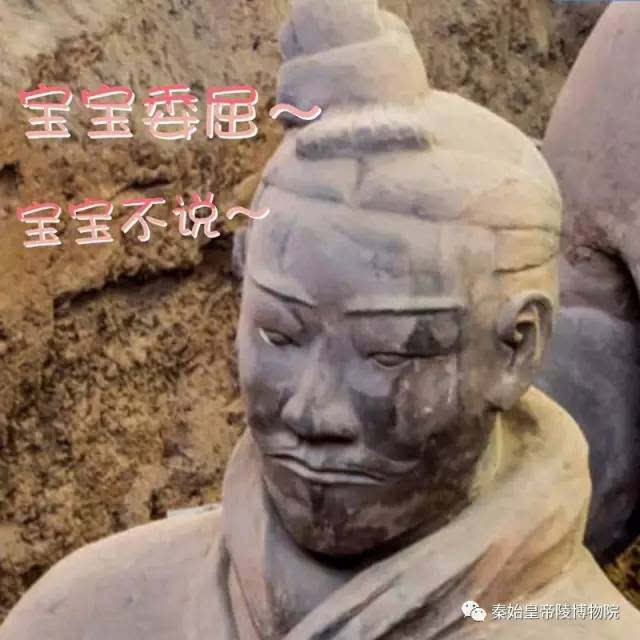 又一波兵马俑表情包来袭!这眼神里全是戏!-搞笑频道-手机搜狐