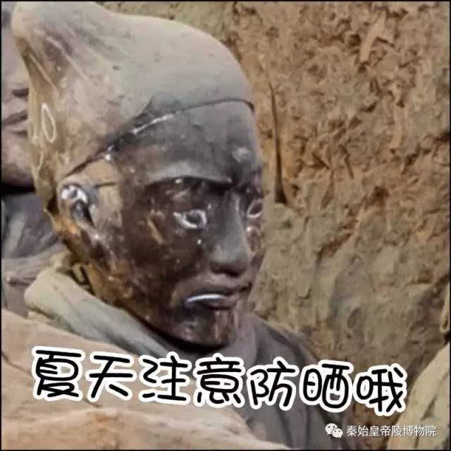 又一波兵马俑表情包来袭!这眼神里全是戏!-搞笑频道