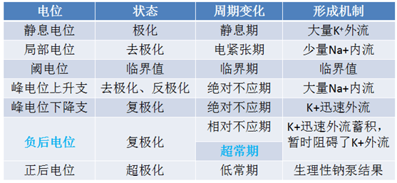 医疗卫生系统考试难点解析:静息电位和动作电位