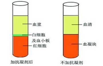 (1)采集血液样本,并将其置于不含抗凝剂的试管内; (2)室温下自然