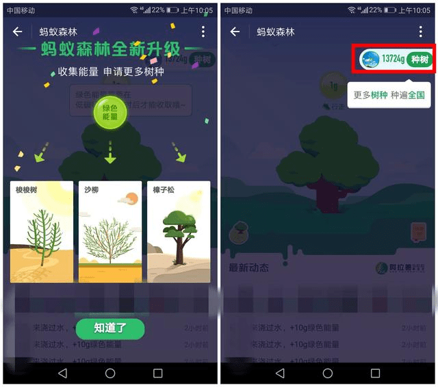 蚂蚁森林添加新树种,看到所需能量值后我绝望了!