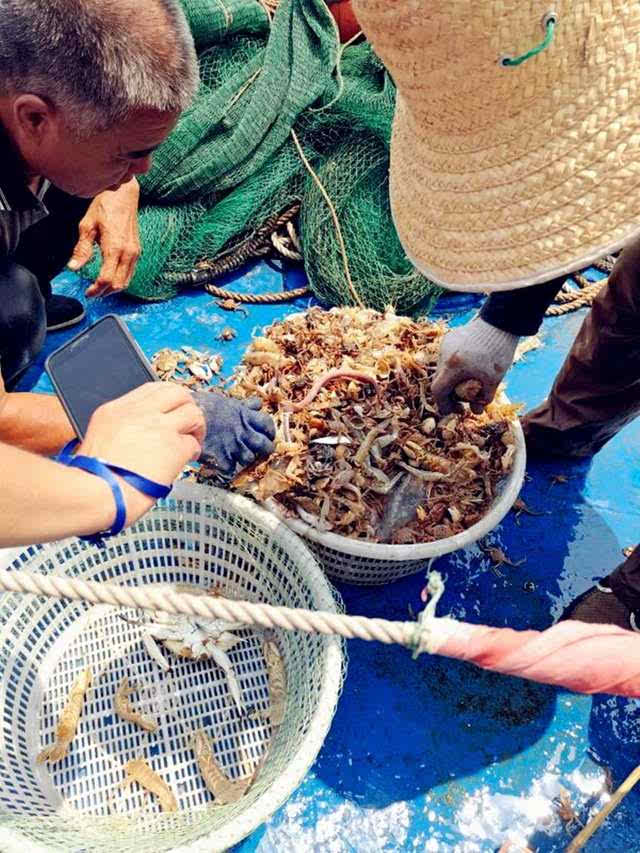 【一日游】天津北塘码头出海打渔.北塘古镇!