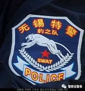 最全特警标志臂章图集