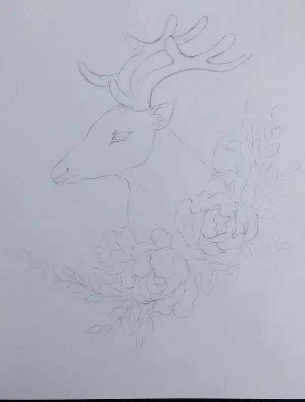 如何画出有仙气的鹿