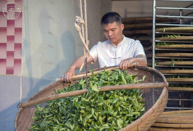 匠农志:清朝光绪年间开始制茶,我是第五代人