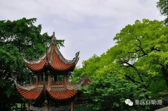 涂山寺坐落在南岸区涂山之巅,因寺内古代供有尊武祖师,因此又称为尊武