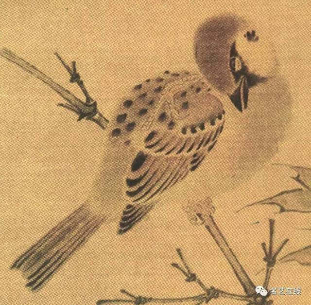 工笔画技法: 怎样画麻雀?