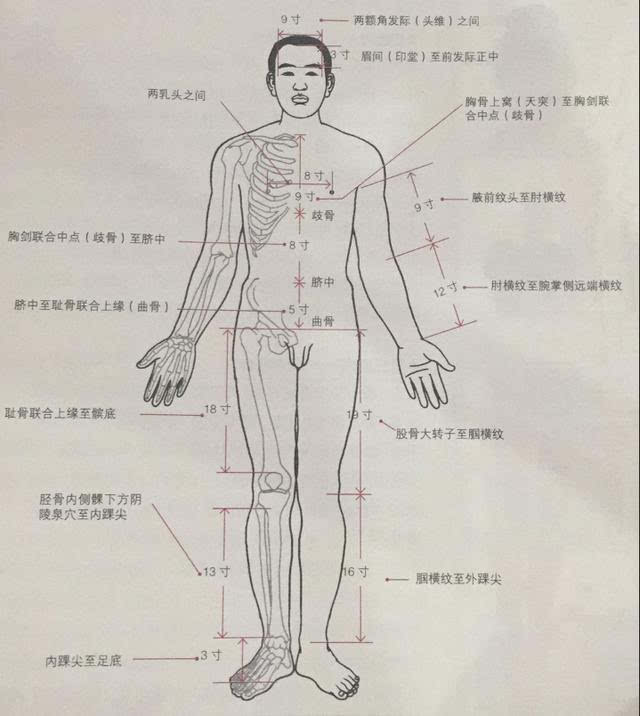 人体体表标志有两种: 1.