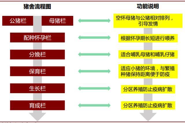 生猪饲养分栏舍流程图