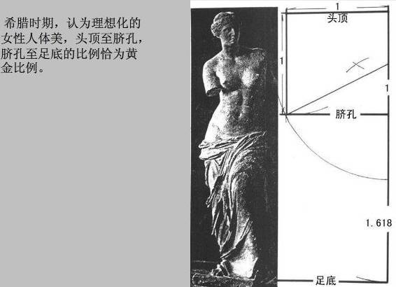 先来看看这个著名的欧美裸体…… 黄金比例的身材 生活中利用黄金