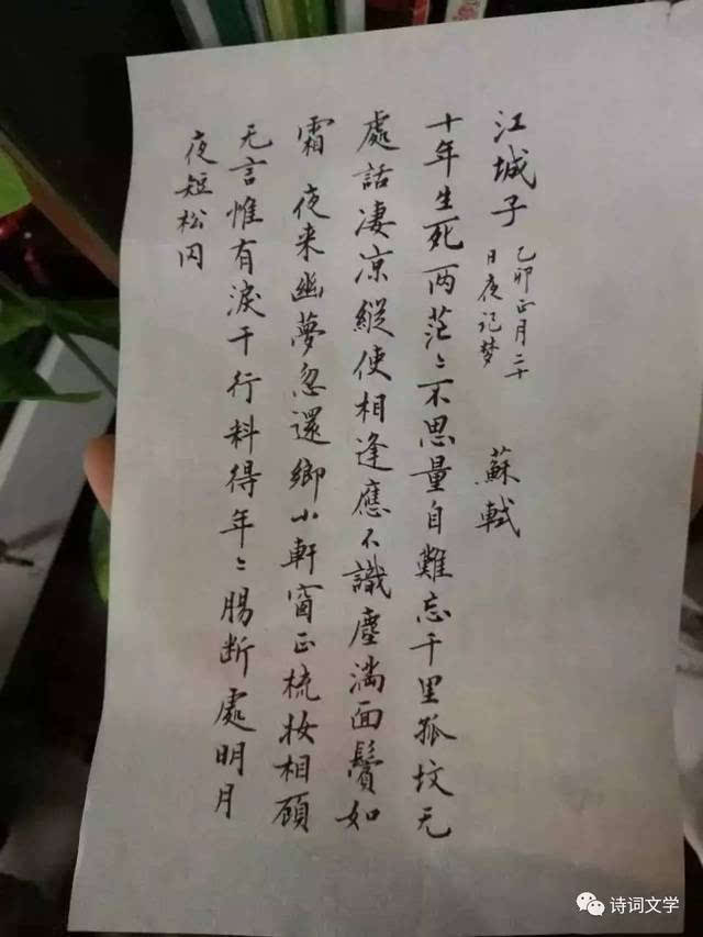 笔墨诗抄 | 苏轼《江城子·十年生死两茫茫》