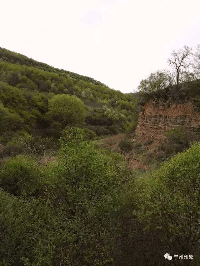 隐藏在甘肃宁县一个小山沟的人间仙境