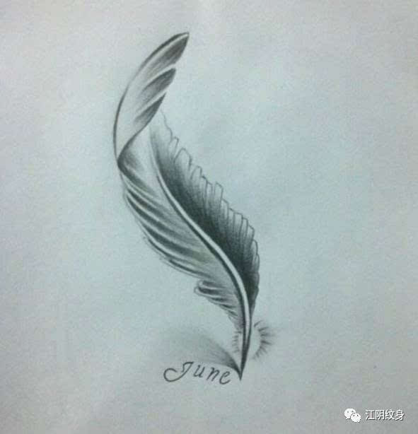 羽毛纹身手稿图