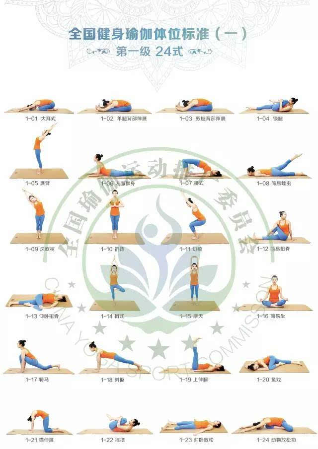 2017年最新版健身瑜伽108式体位标准(1—5级)