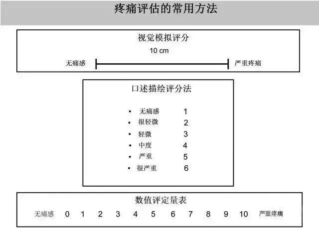 评级标准有视觉模拟评分(vas),口述描绘评分法(vrs)和数值评定量表