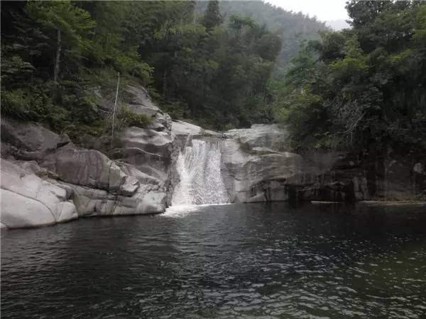 岱坪村还是光泽县,司前乡重点毛竹资源村,素有"十里竹海"之称,毛竹林