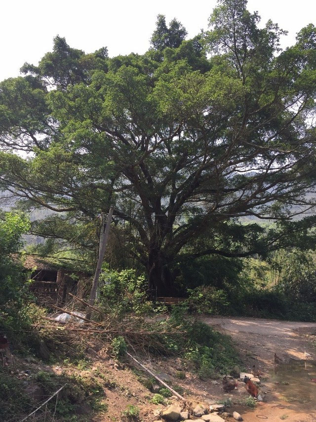 仁化最美乡村|周田镇溪背村