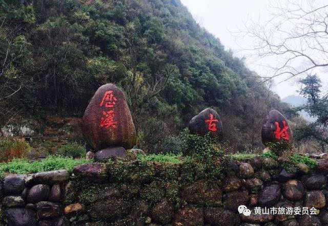 祁门牯牛降九龙景区