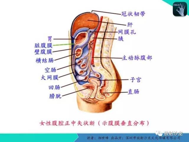 【专家大讲堂】女性盆腔非生殖系统肿瘤 的mri诊断