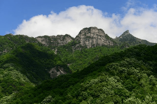 秦岭分水岭下仰视鹿角梁