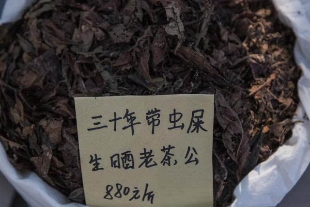 国外有猫屎咖啡,中国有虫屎茶,一斤卖到8800