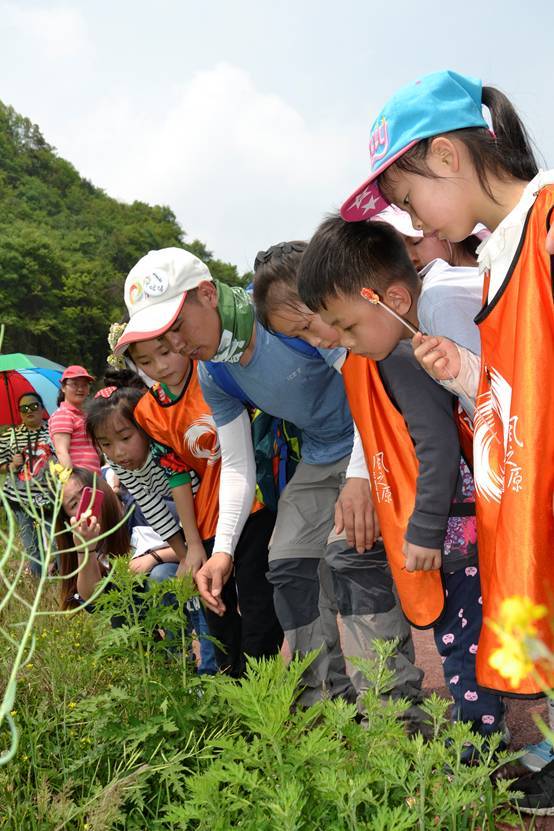 【夏令营】第九届生态家园少儿环保夏令营开始招募了!