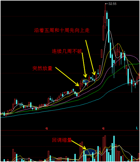 周线级别选择了什么才会买到急速上涨成长型股票