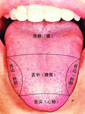 每天照镜子看一下舌头,看看身体哪个部位有问题