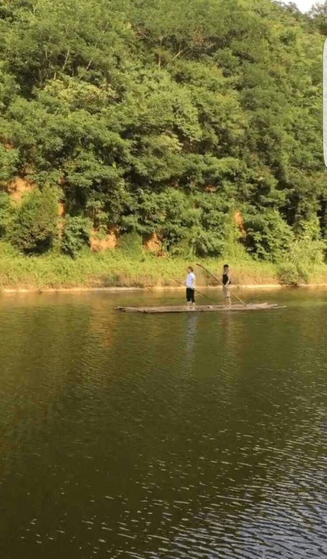 西安"卧龙山庄"风景区现该地区最大面积野生竹林