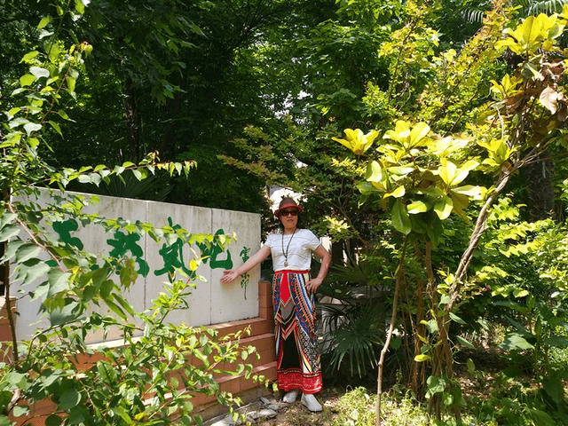 西安"卧龙山庄"风景区现该地区最大面积野生竹林