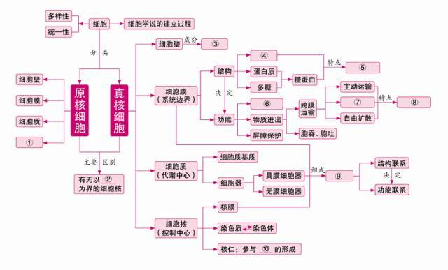 思维导图丨巧用网络图,构建高中生物知识结构!【必修1