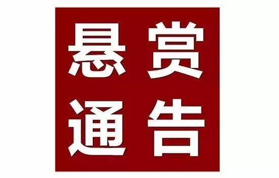 重金悬赏 提供新世纪大学英语综合教程第一册的答案