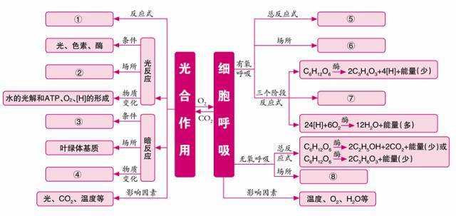 思维导图丨巧用网络图,构建高中生物知识结构【必修1&必修2】