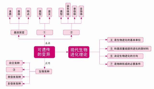 思维导图丨巧用网络图,构建高中生物知识结构【必修1&必修2】