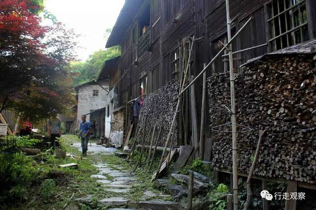 休宁板桥乡野猪汰|隐匿在徽州大山里de三个人的村庄