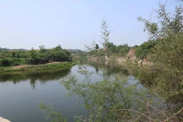 齐村水库湿地片区