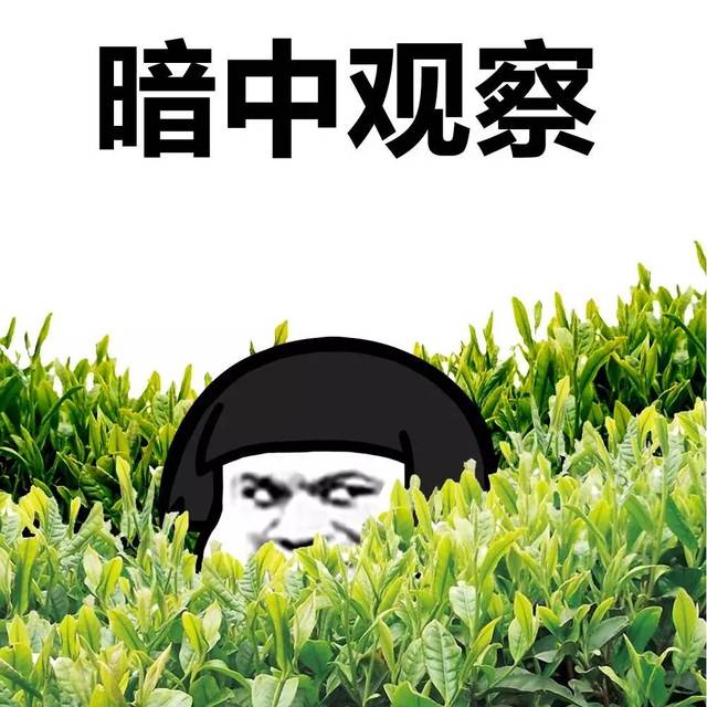 表情丨暗中观察! 动图:千手蘑菇头